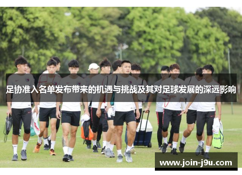 足协准入名单发布带来的机遇与挑战及其对足球发展的深远影响