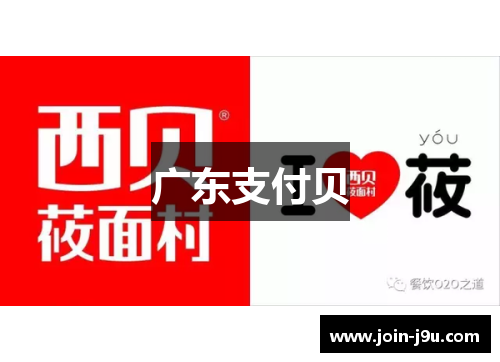 广东支付贝