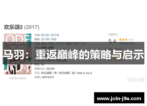 马羽：重返巅峰的策略与启示